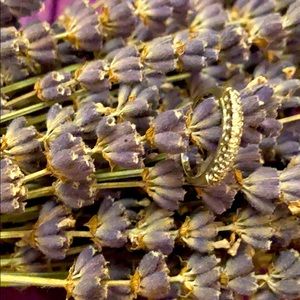 Itty Bitty Baby 14k Ring!